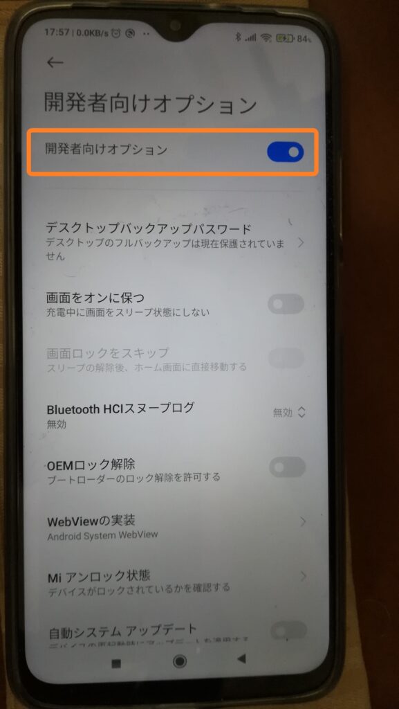 Developer Options 開発者向けオプション