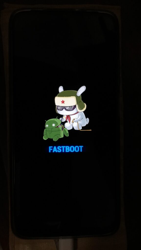 The FASTBOOT screen will appear. FASTBOOT 画面が表示されます。