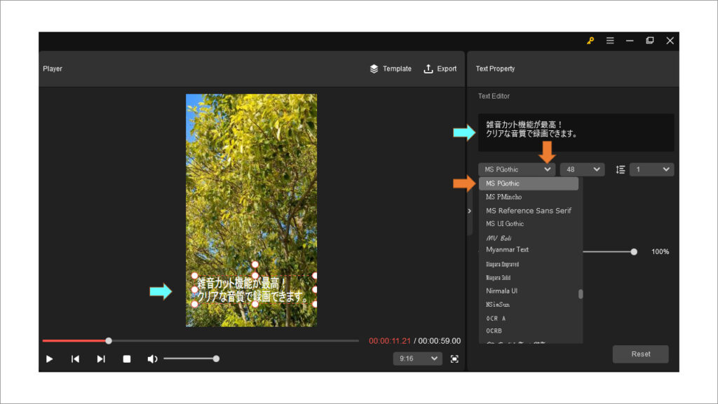 動画編集ソフト MiniTool MovieMaker 操作方法8 フォントを切り替えます。初期設定の Arial では日本語の文字の見栄えがいまいちです。 MS Gothic などの日本語対応フォントに変えましょう。